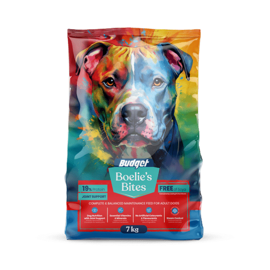 Boelie's Bites Budget Adult Dog Food